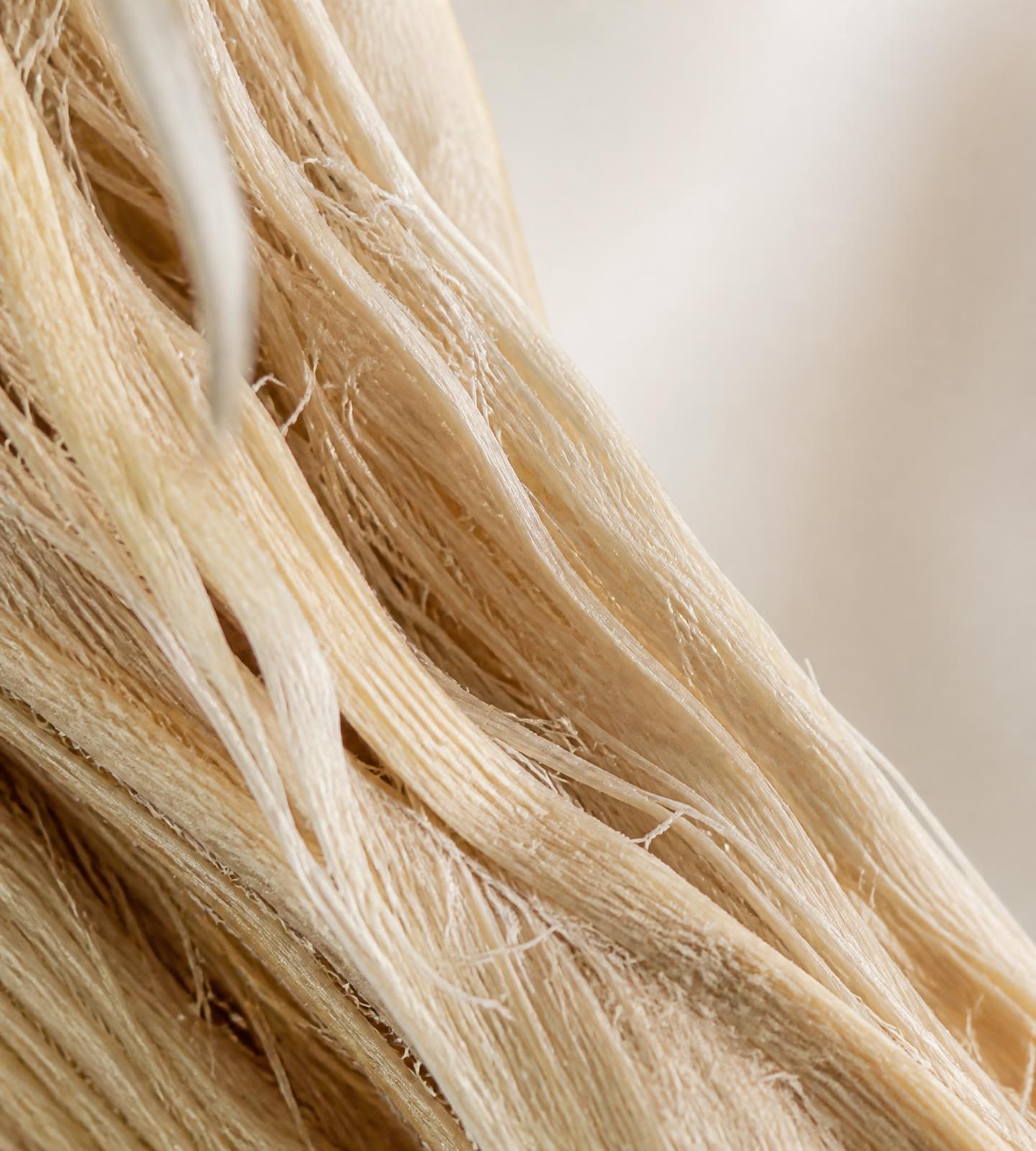 Macro view of extracted banana stem fibre strands in ivory and beige tones